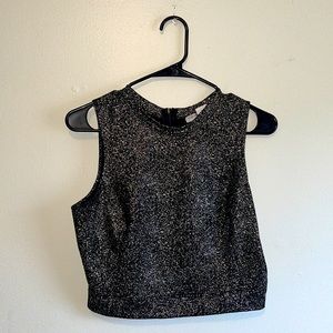 Necessary Objects Sparkly Metallic Cropped Top